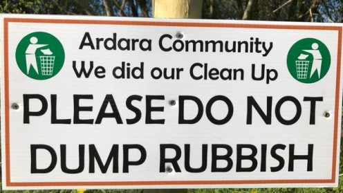 Ardara Clean Up