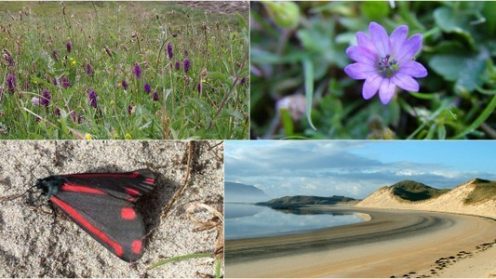 Guided walk and talk at Sheskinmore Saturday 27th May