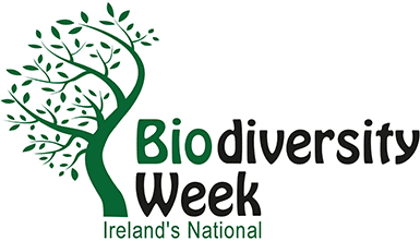 Biodiversity Week Ardara