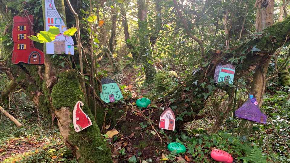 Biodiversity Lane, Woodhill, Ardara