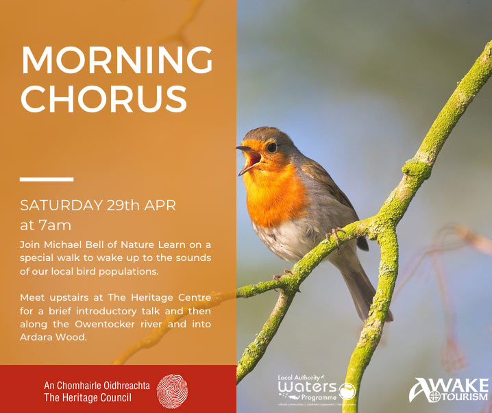 Morning Chorus Nature Walk with Michael Bell