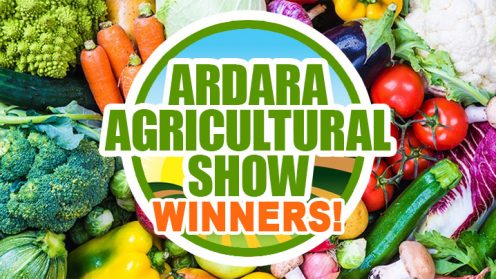 Sun Shines once again on Ardara Show