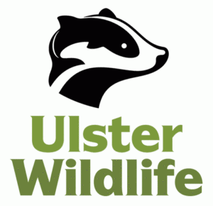 Ulster Wildlife Red Squirrels West of Ardara Guided Walk