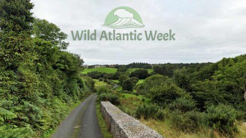 Today’s Wild Atlantic Week Events