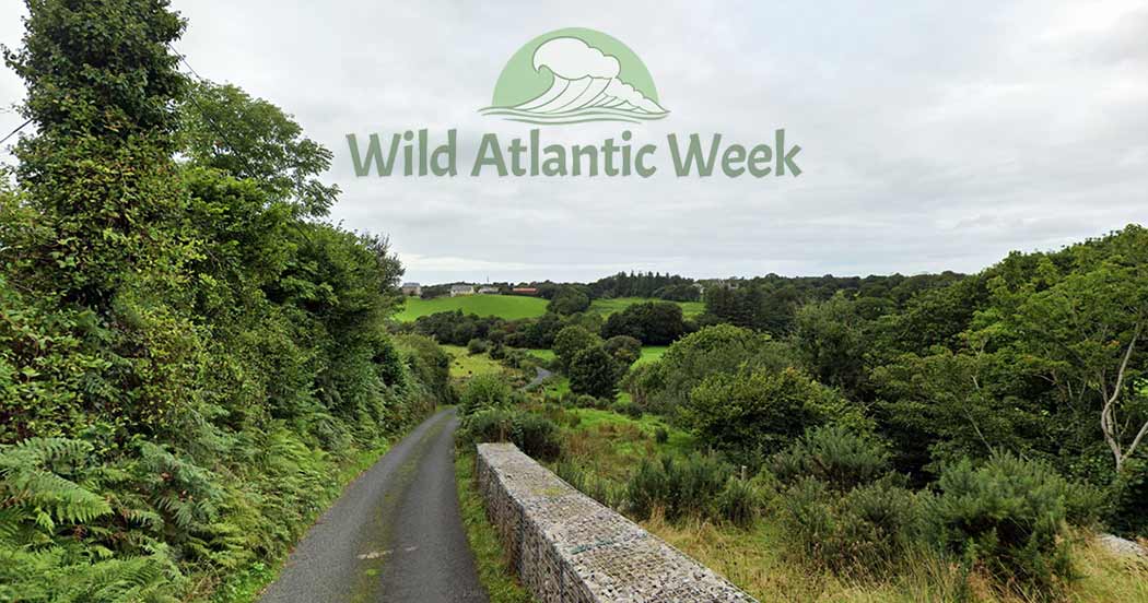 Wild Atlantic Week - A Walk in The Wood
